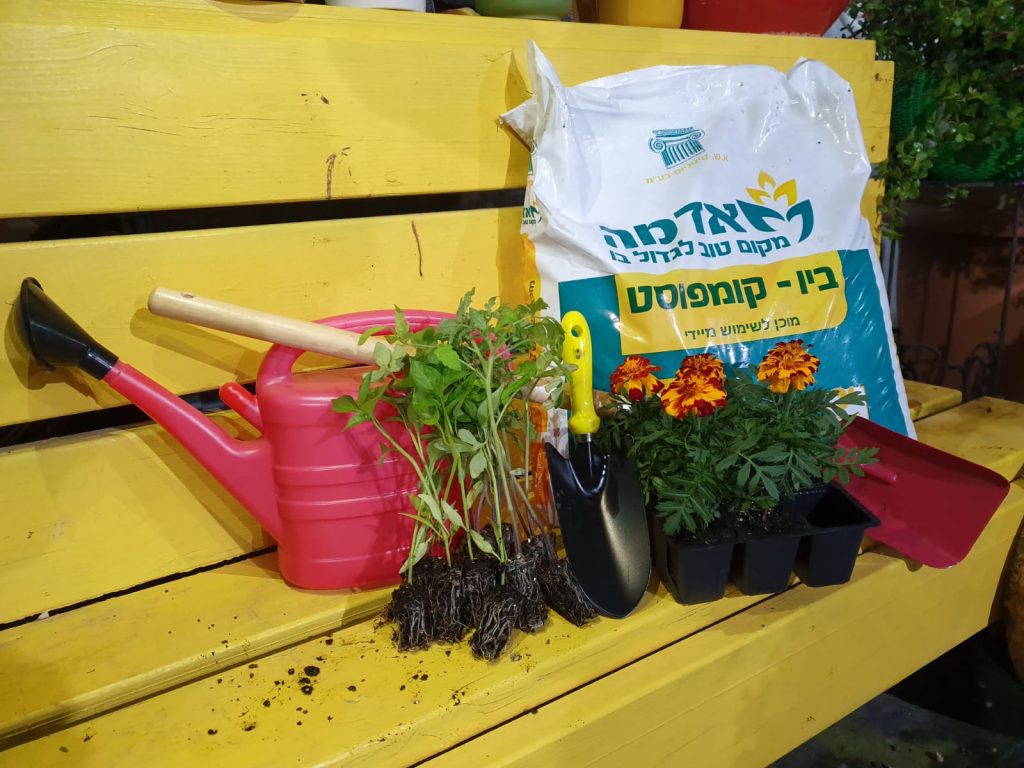 צמחי גינה