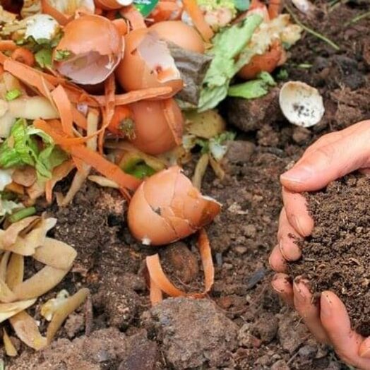 החומרים שיעזרו לגינה שלכם לפרוח