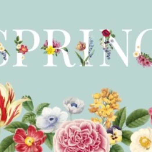 האביב הגיע ואיתו פרחי האביב – פריחה באביב