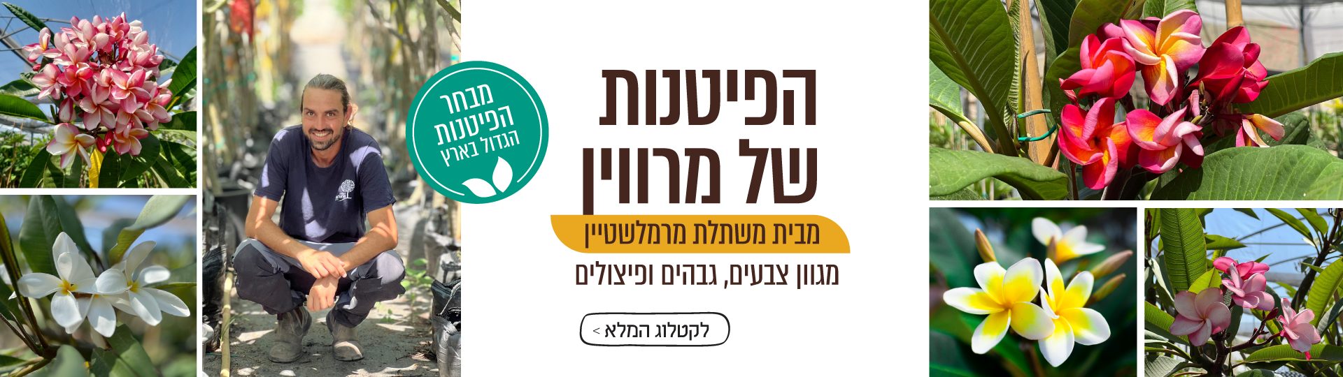 ארגז צמחים בהפתעה - משתלת מרמלשטיין מארזי צמחים ומתנות