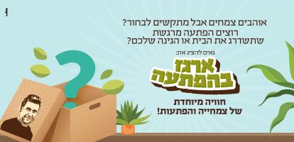 ארגז בהפתעה משתלת מרמלשטיין - מארז צמחים בהתאמה אישית לבית ולגינה