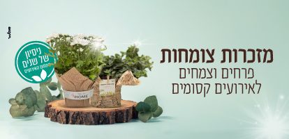 עציצים ממותגים למזכרת לאורחים באירועים קסומים - מתנה מקורית ומיוחדת לחתונה וברית