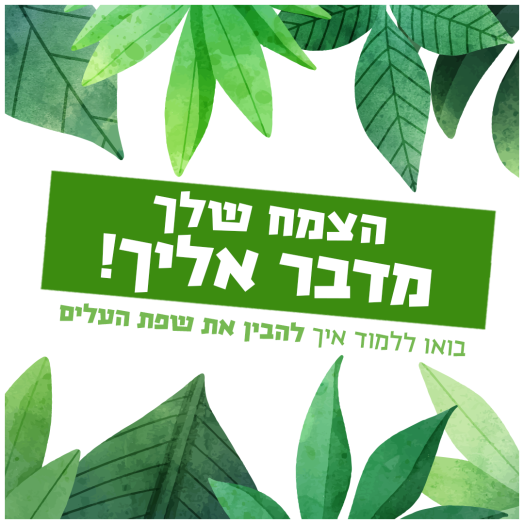 העלים של עץ ההדר שלך מספרים לך מה הם צריכים- המדריך המלא