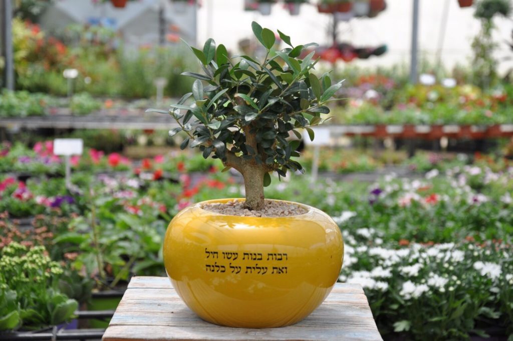 מתנה עם מיתוג שירגש כל אחת