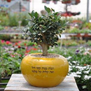 מתנה עם מיתוג שירגש כל אחת