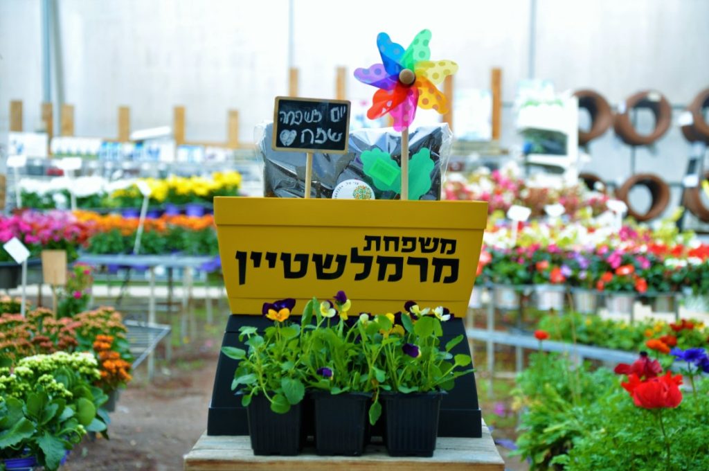 ערכת שתילה לכל המשפחה לכבוד יום המשפחה משפחה פורחת