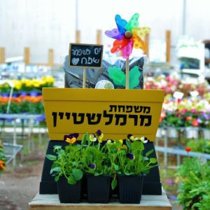 ערכת שתילה לכל המשפחה לכבוד יום המשפחה משפחה פורחת