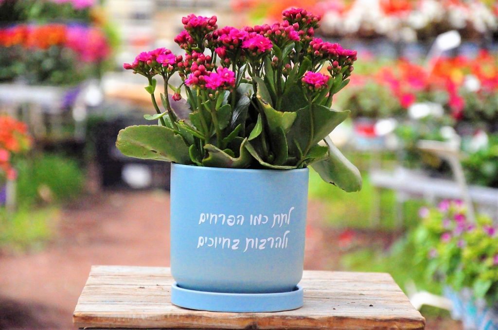 מתנה הילי להרבות בחיוכים! מתנה מקסימה שמתאימה לכל כיס:)