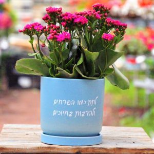 מתנה הילי להרבות בחיוכים! מתנה מקסימה שמתאימה לכל כיס:)