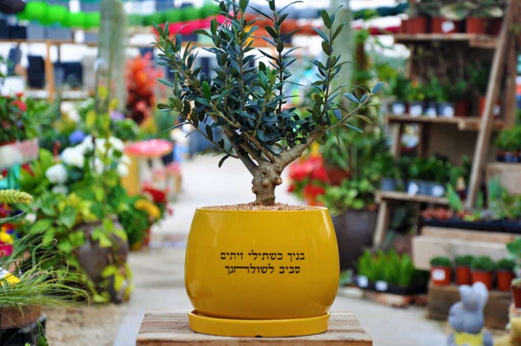 מתנה מושלמת ומרגשת להורים!