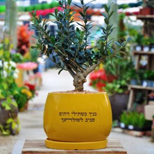 מתנה מושלמת ומרגשת להורים!