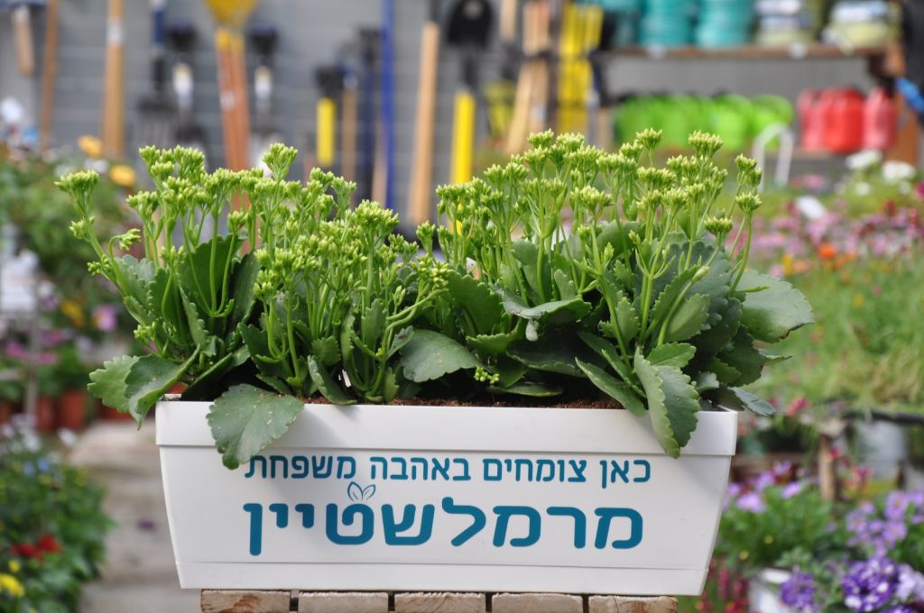 מתנות ממותגות משפחה,מתנה אדנית שם משפחה