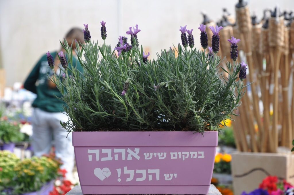 מתנה סיגל אדנית לוונדר שכולם רק יחמיאו לכם עליה!