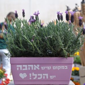 מתנה סיגל אדנית לוונדר שכולם רק יחמיאו לכם עליה!