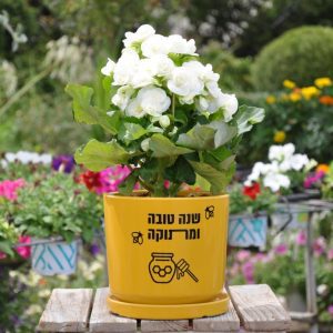 מתנה ארט