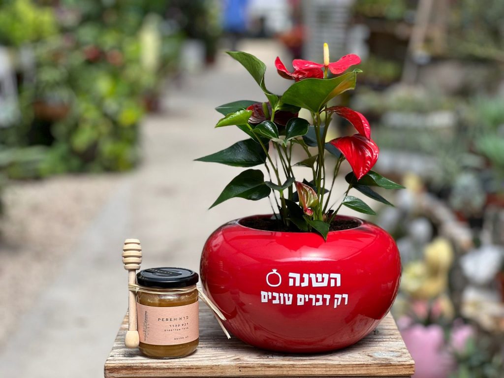 מתנה סאבו מיוחדת לראש השנה