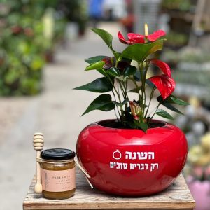 מתנה סאבו מיוחדת לראש השנה