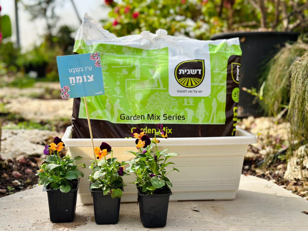 ערכה מלכה ערכה כיפית ויפה שתשדרג כל גינה:)