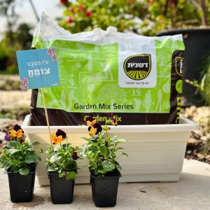 ערכה מלכה ערכה כיפית ויפה שתשדרג כל גינה:)