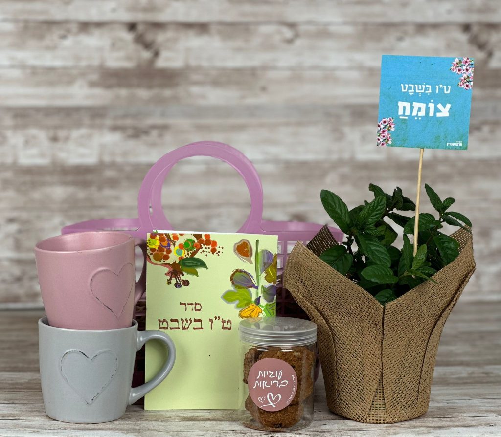 סלסלט"ו בשבט