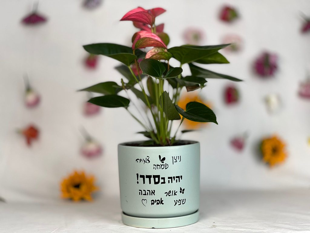 מתנה ארץ אנטוריום בכלי קרמיקה עם מילות איחולים,לאנשים שאתם אוהבים באמת!