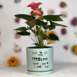 מתנה ארץ אנטוריום בכלי קרמיקה עם מילות איחולים,לאנשים שאתם אוהבים באמת!