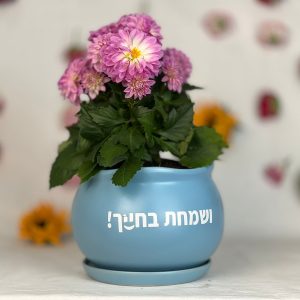 מרים
