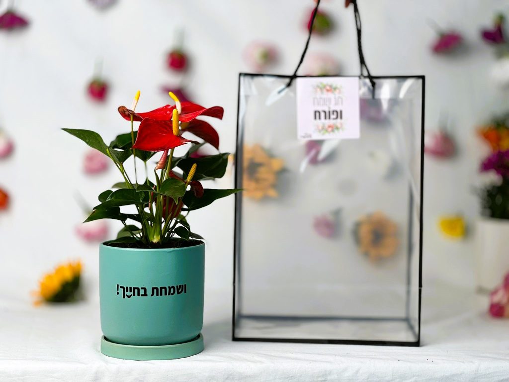 מתנה ממותגת "ושמחת בחייך" בשקית מהודרת שקופה