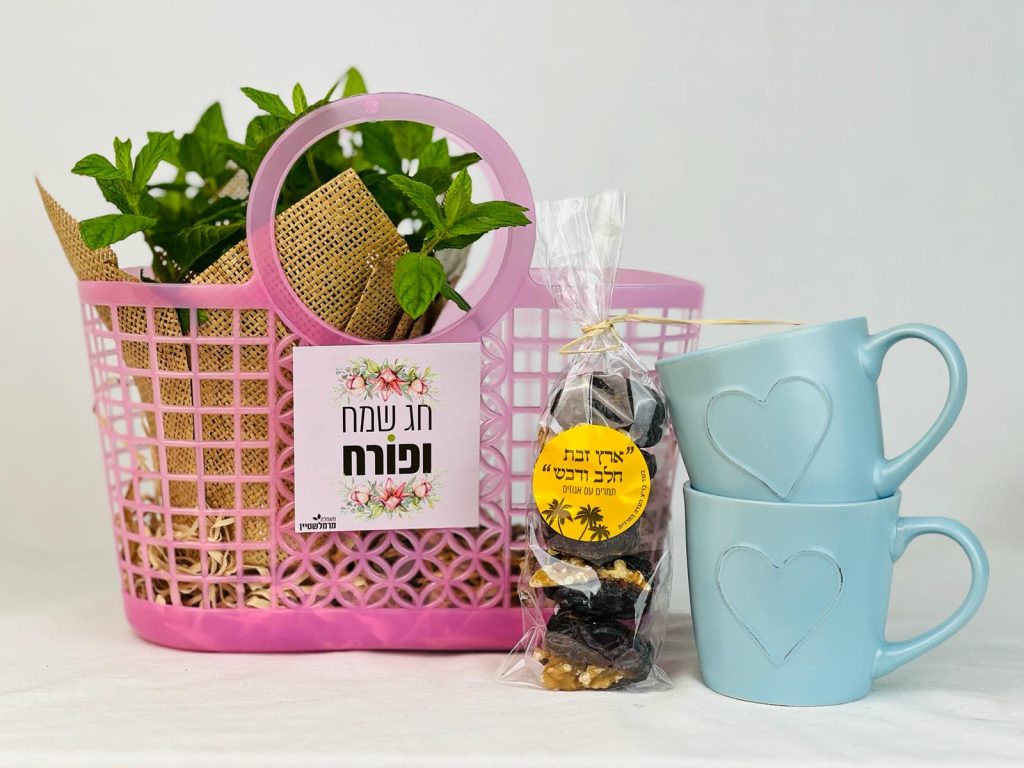סלסלת מור- סלסלת שוק שמציידת אתכם בתה המושלם