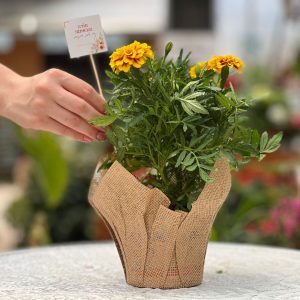 מזכרות לאירועים, מתנות ממותגות, מזכרת טיגי