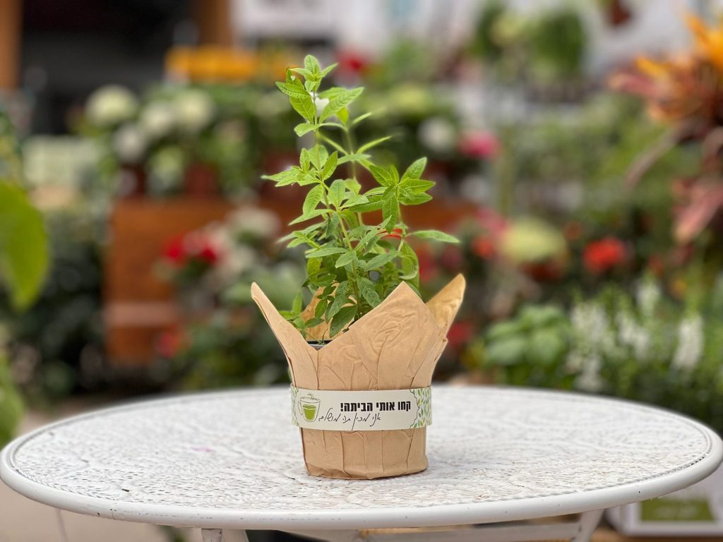 מזכרות לאירועים, מתנות ממותגות, מזכרת לוזי