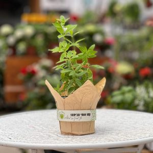 מזכרות לאירועים, מתנות ממותגות, מזכרת לוזי