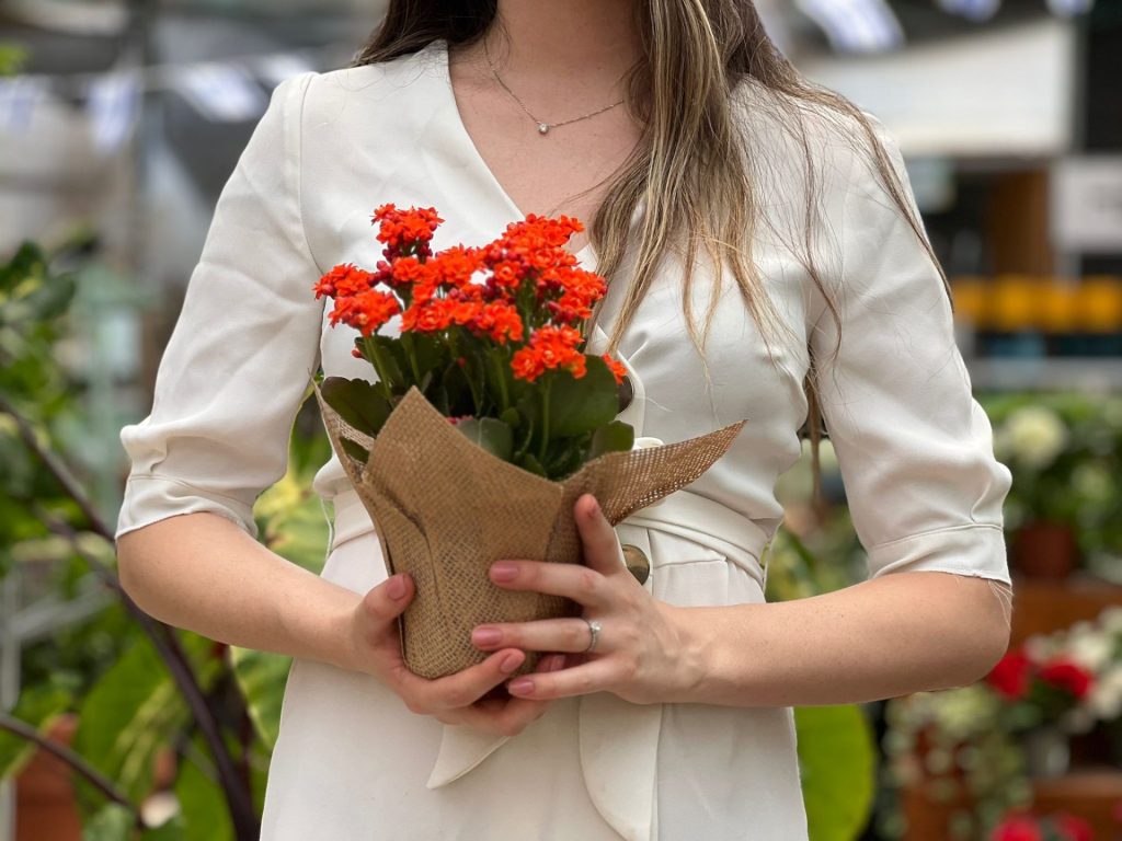 מזכרות לאירועים, מזכרת ניצי