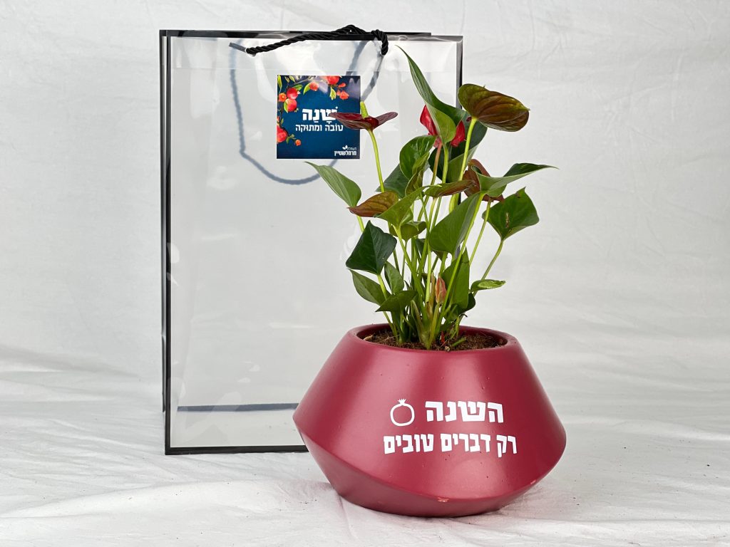רק דברים טובים כלי פיזה אובלי ממותג במשפט האופטימי “השנה רק דברים טובים”