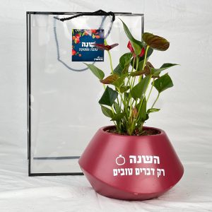 רק דברים טובים כלי פיזה אובלי ממותג במשפט האופטימי “השנה רק דברים טובים”