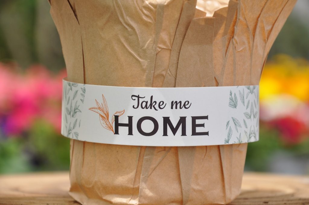 מזכרות לאירועים, מיתוג Take me HOME