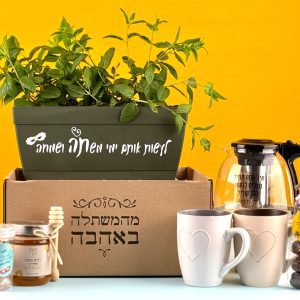 משלוח מנות ליצן