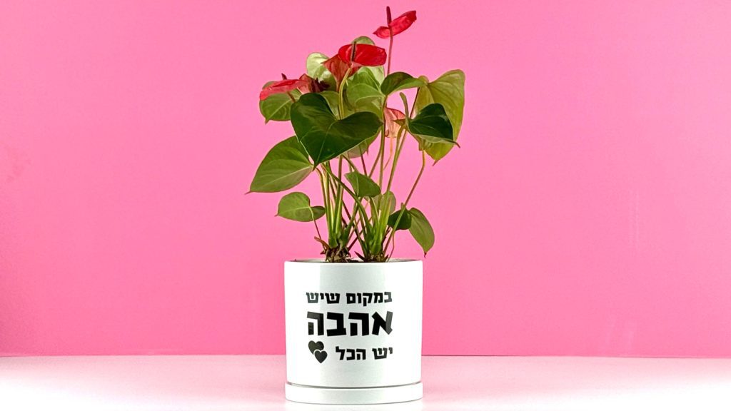 מתנה בראל