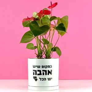 מתנה בראל