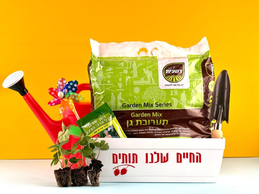 ערכת החיים שלנו תותים