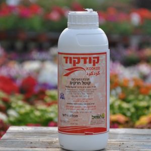 הדברה, קודקוד