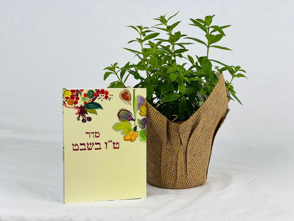 מזכרות לאירועים, תבלין וסדר טו בשבט