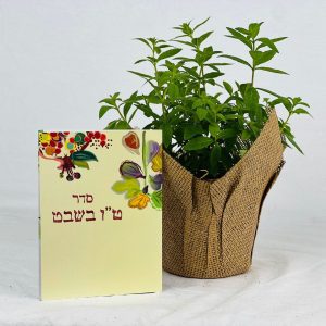 מזכרות לאירועים, תבלין וסדר טו בשבט