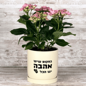 מתנה ונציה