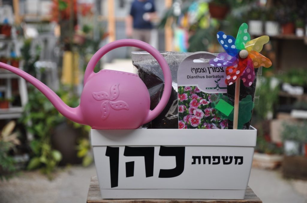ערכה מושלמת שתיתן לכם חוויה משפחתית ומלמדת! אדנית זרעים ליום המשפחה