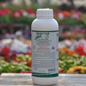 טיפון