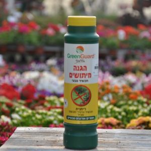 ריחנית גדולה ליתושים
