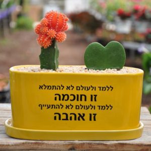 מתנה להב תודו שזה השילוב צמחים הכי מהמם שיש! מתנה מדוייקת :)