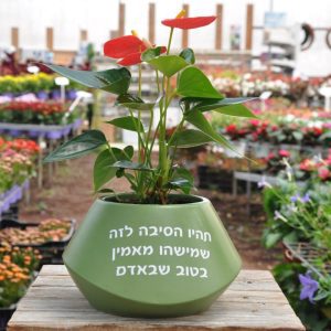 מתנה טופז מתנה עם משפט מיוחד ומרגש 
