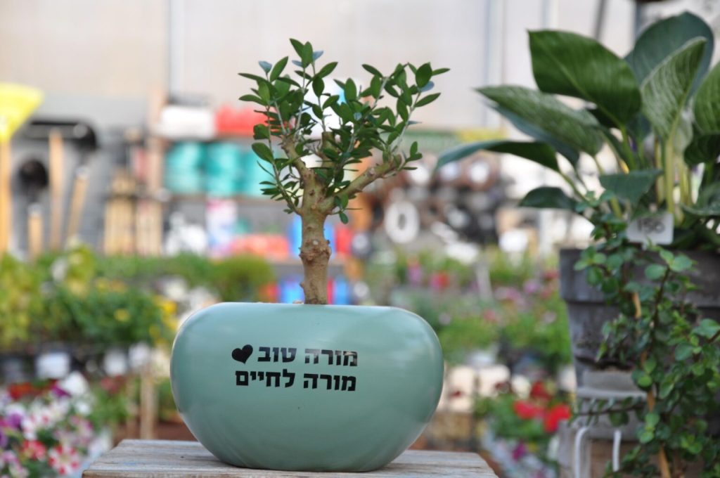 מתנה נחל מתנה מרגשת ומושקעת למורה שמגיע לה\לו